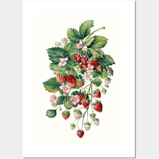 Vintage Strawberry Cottagecore Posters and Art